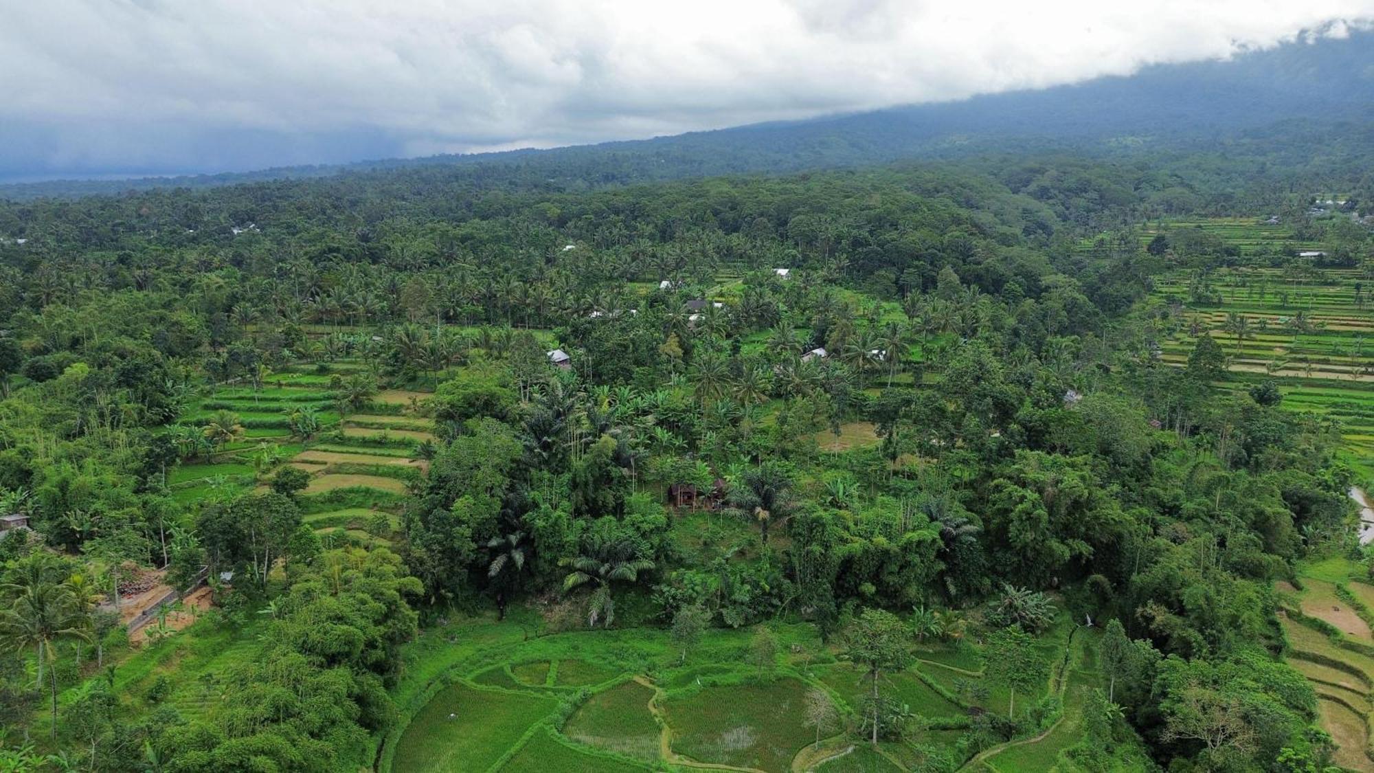 Serenity Lodge Tetebatu Lombok 外观 照片
