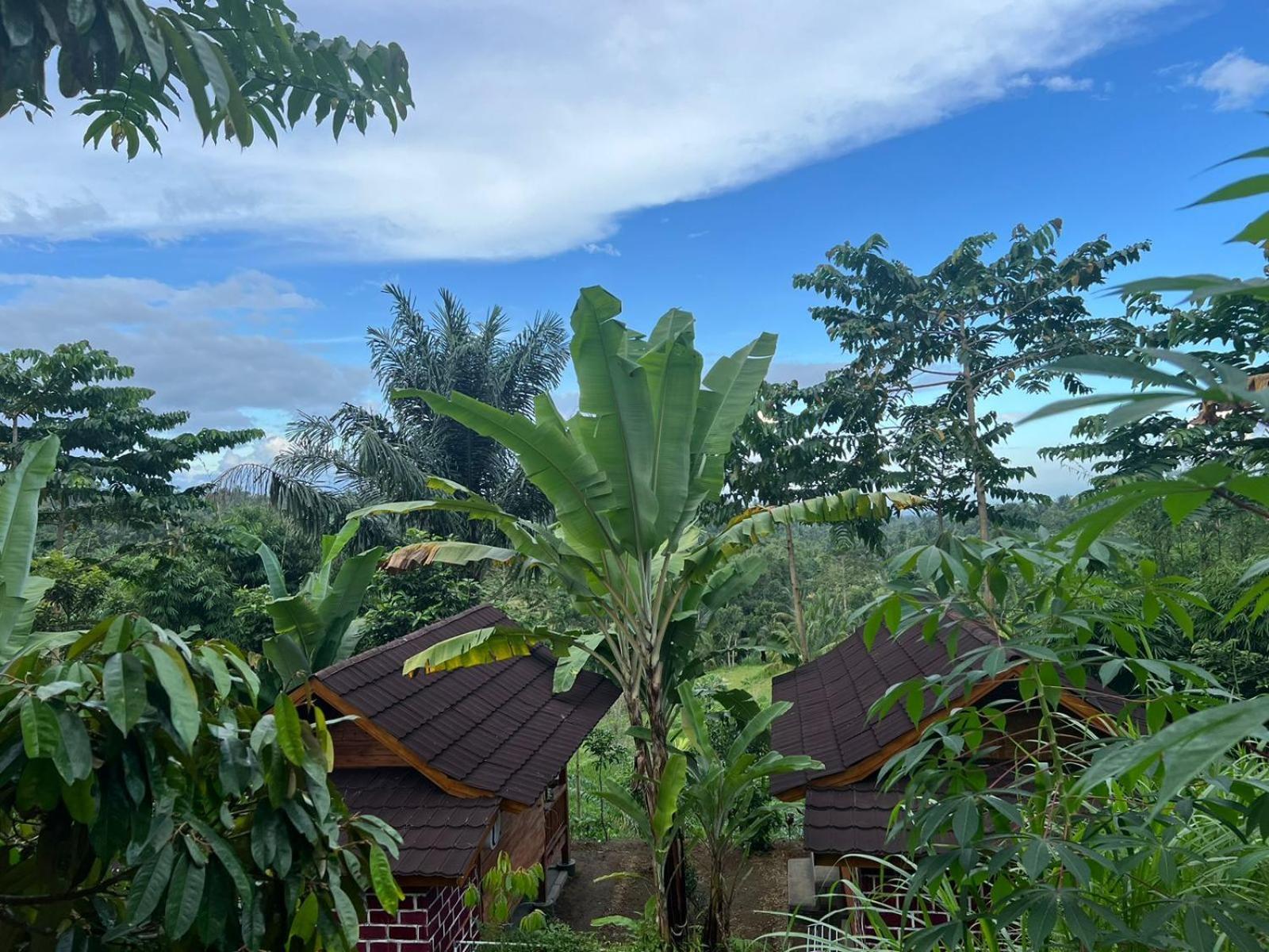 Serenity Lodge Tetebatu Lombok 外观 照片