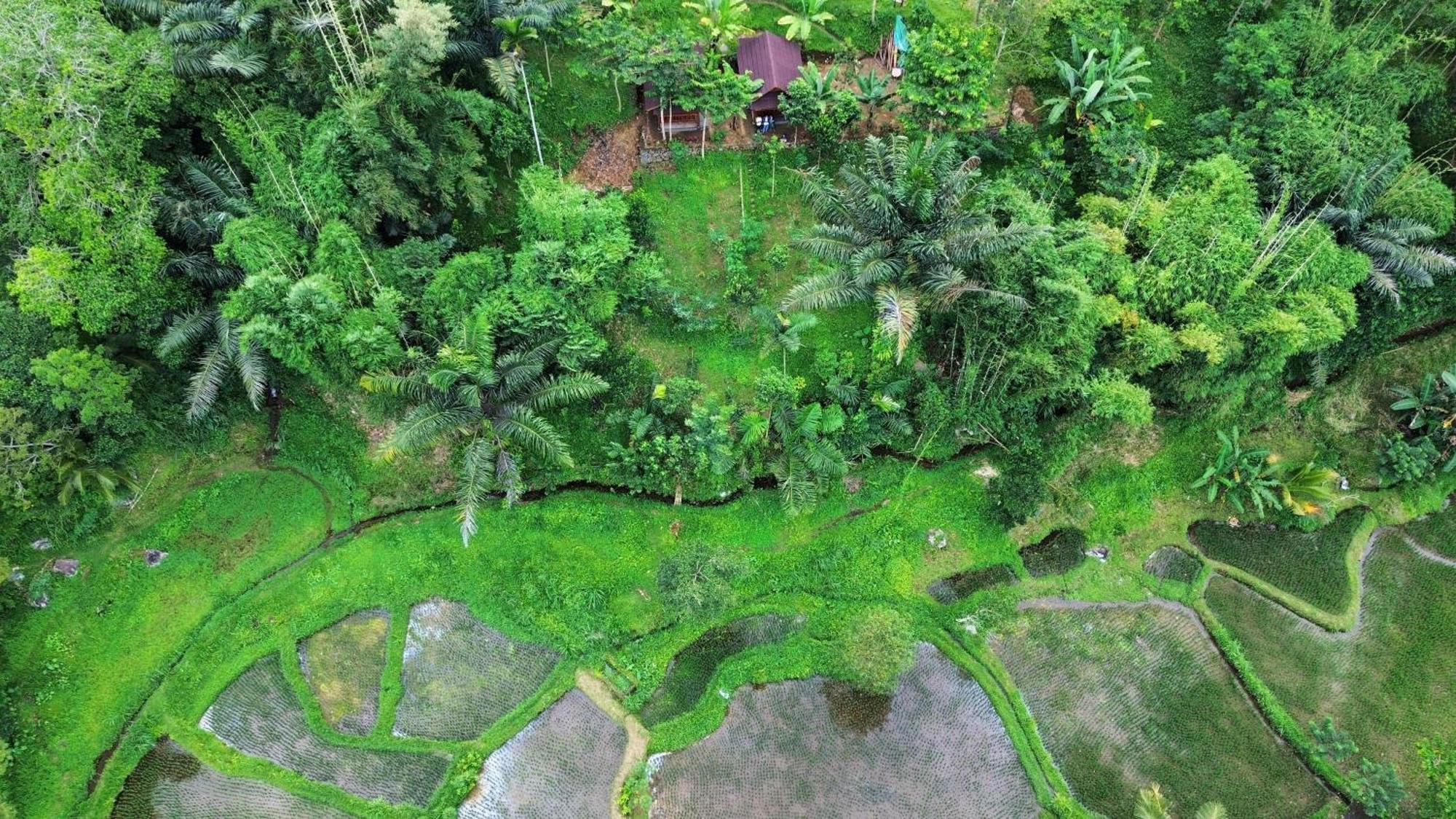 Serenity Lodge Tetebatu Lombok 外观 照片