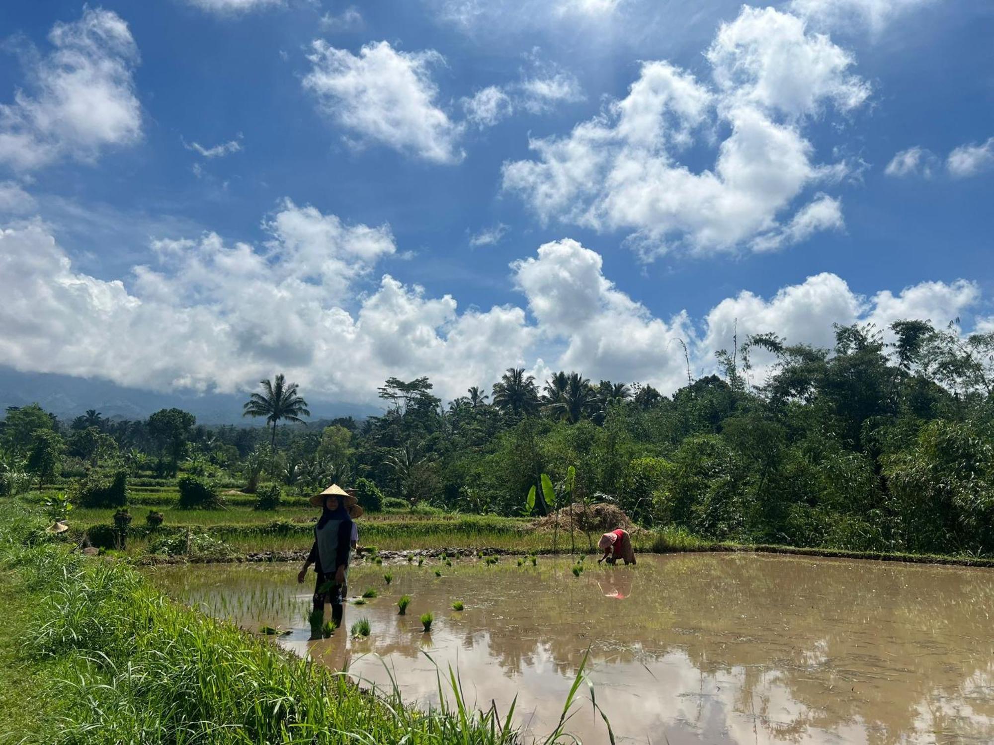 Serenity Lodge Tetebatu Lombok 外观 照片