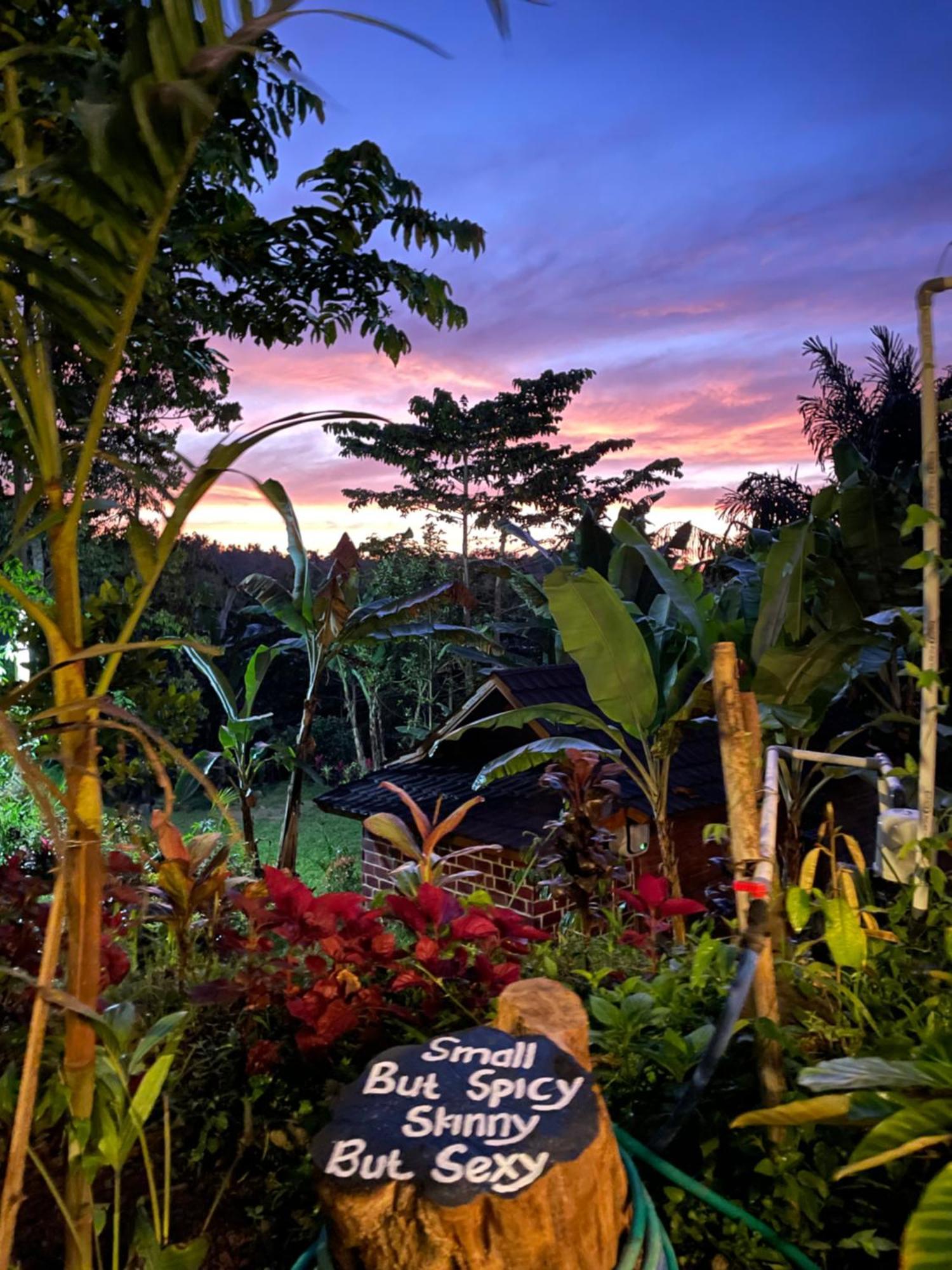 Serenity Lodge Tetebatu Lombok 外观 照片