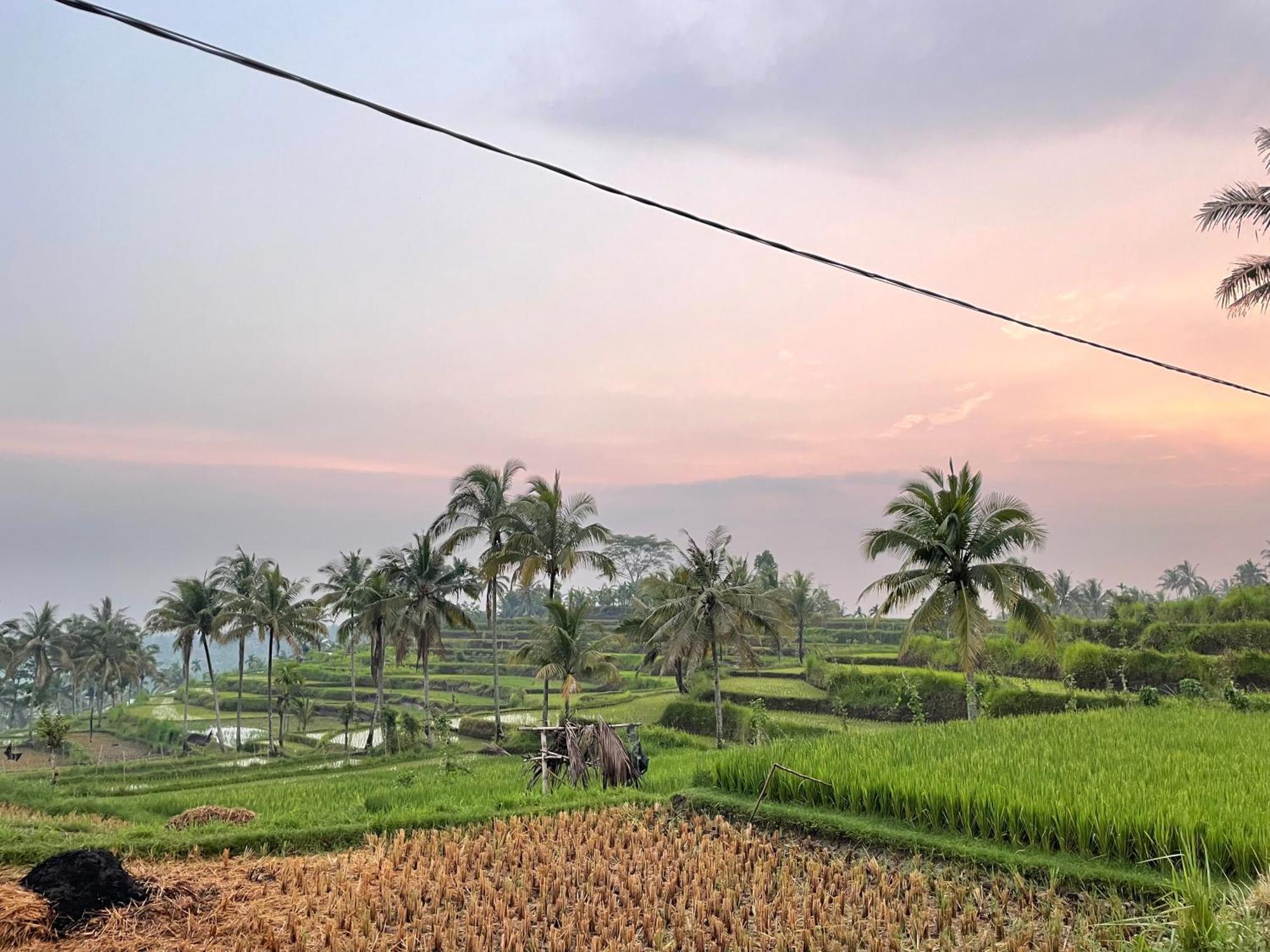 Serenity Lodge Tetebatu Lombok 外观 照片