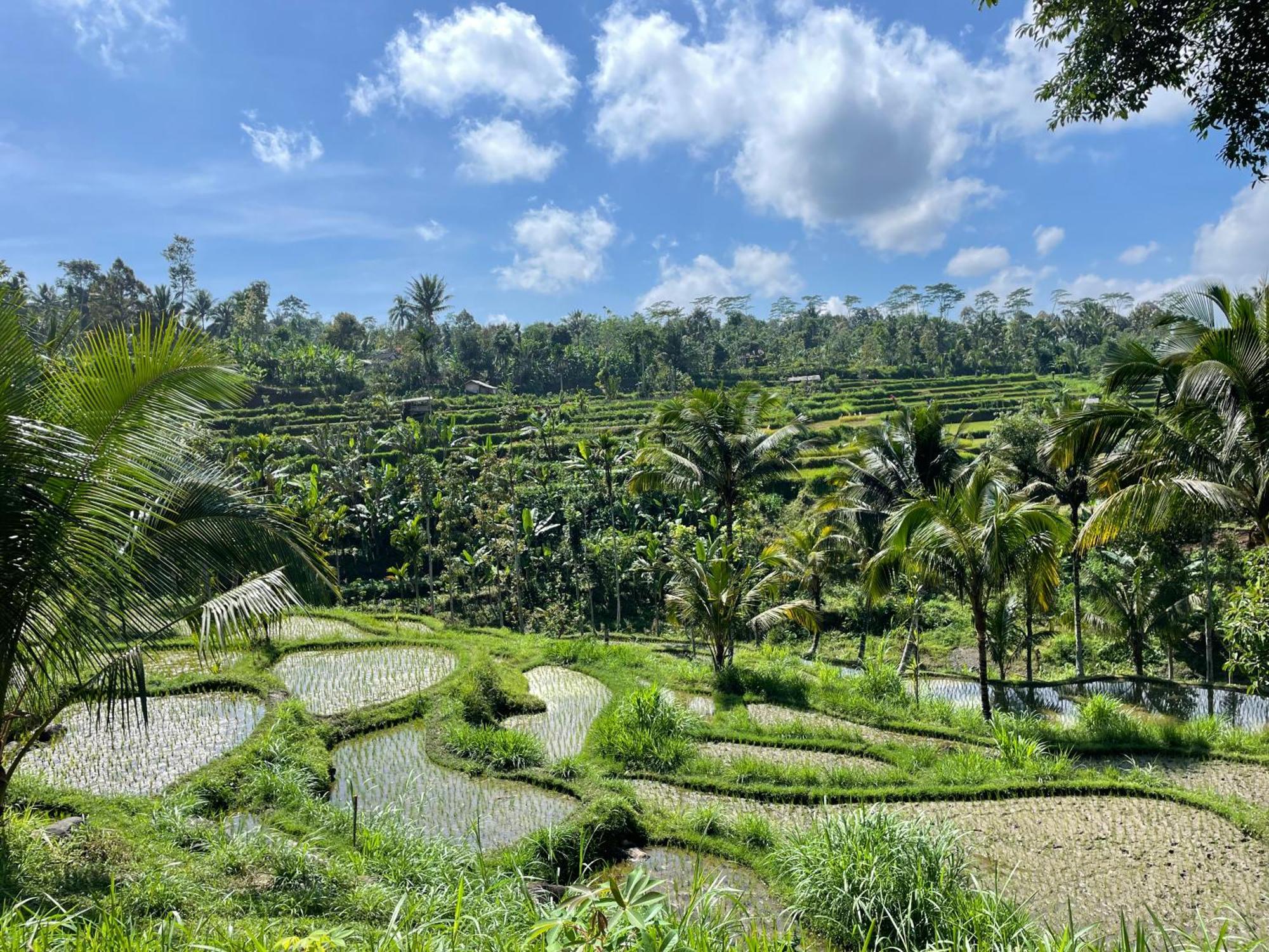 Serenity Lodge Tetebatu Lombok 外观 照片