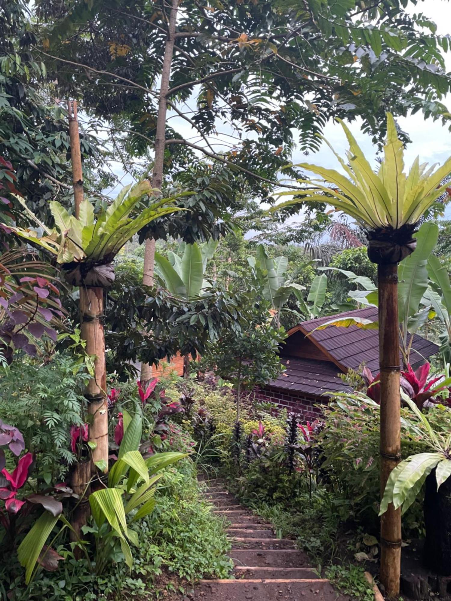 Serenity Lodge Tetebatu Lombok 外观 照片
