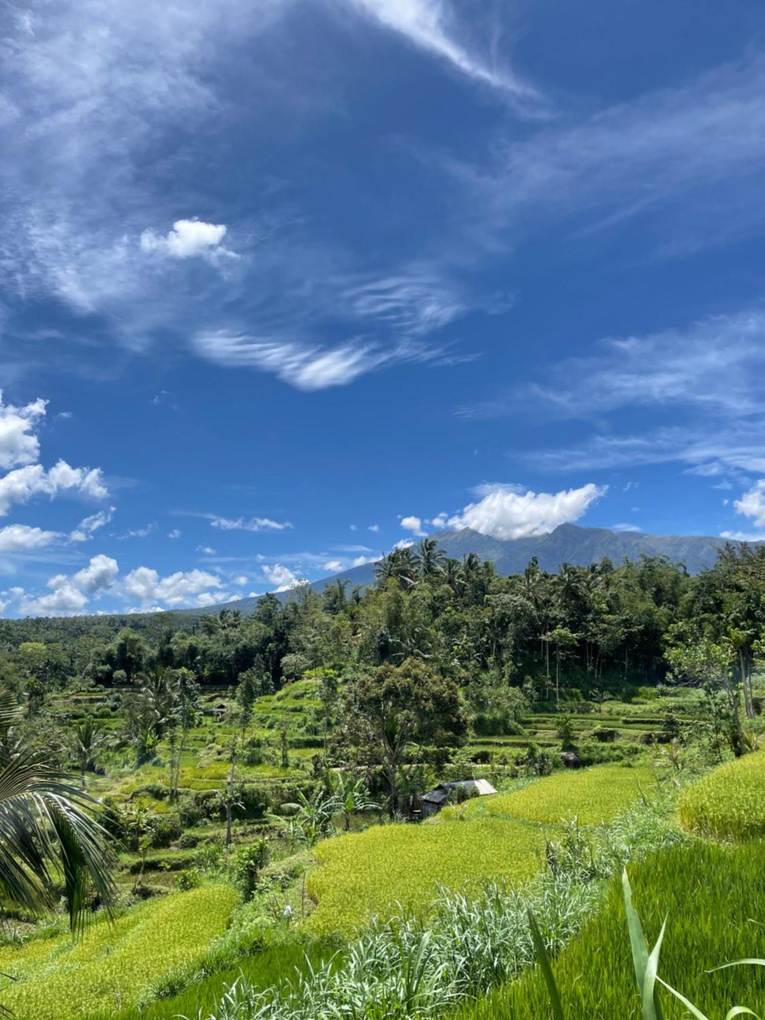 Serenity Lodge Tetebatu Lombok 外观 照片